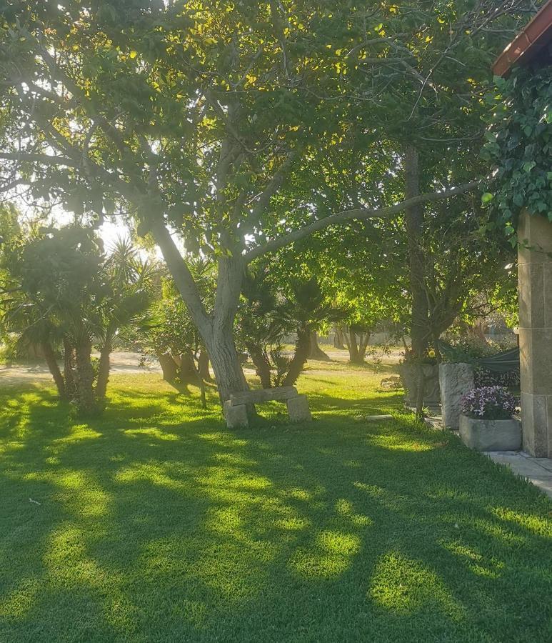 אוג'אנו לה קייזה Agriturismo Le Tagliate מראה חיצוני תמונה