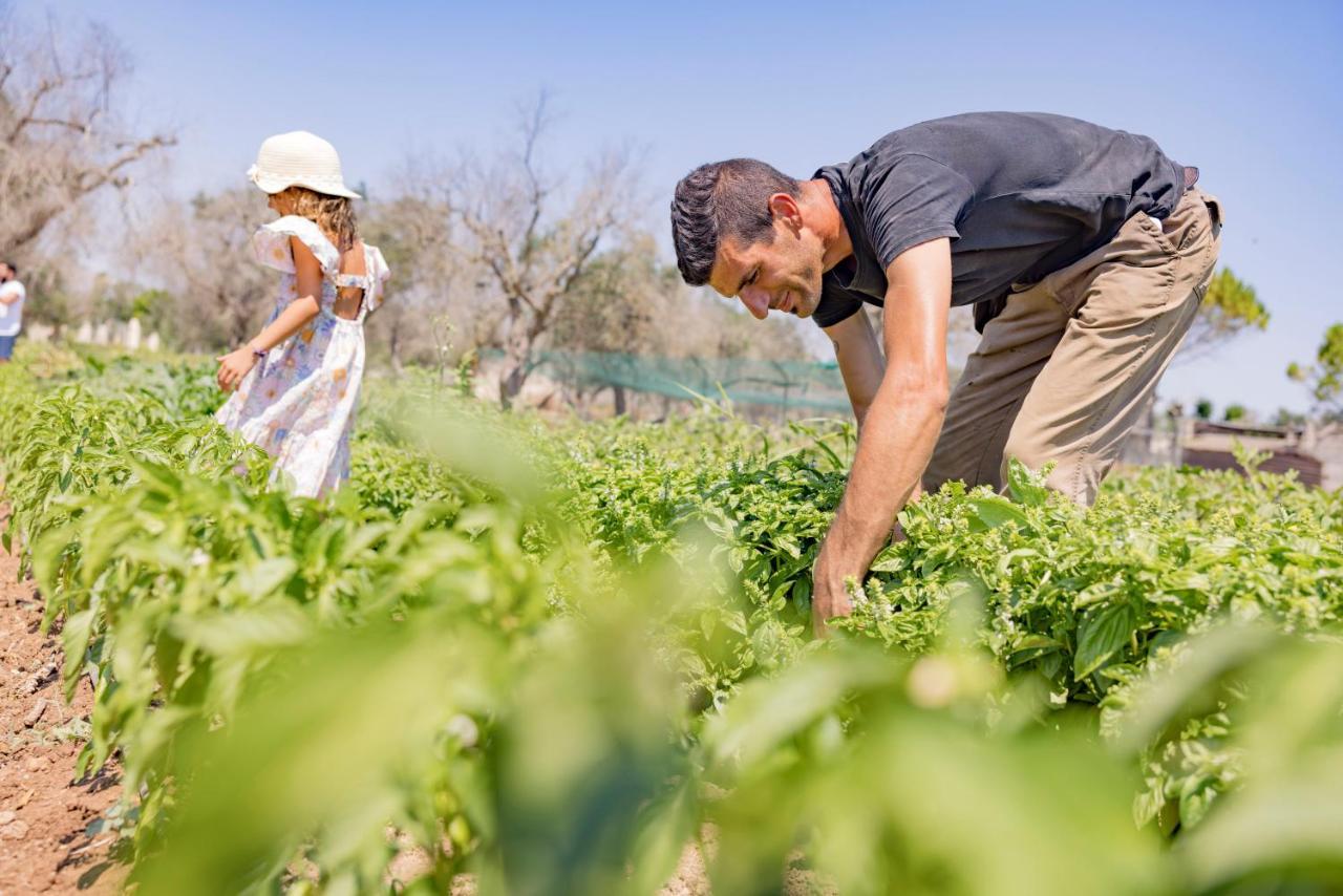 אוג'אנו לה קייזה Agriturismo Le Tagliate מראה חיצוני תמונה