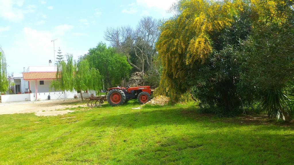 אוג'אנו לה קייזה Agriturismo Le Tagliate מראה חיצוני תמונה