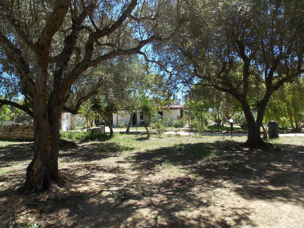 אוג'אנו לה קייזה Agriturismo Le Tagliate מראה חיצוני תמונה