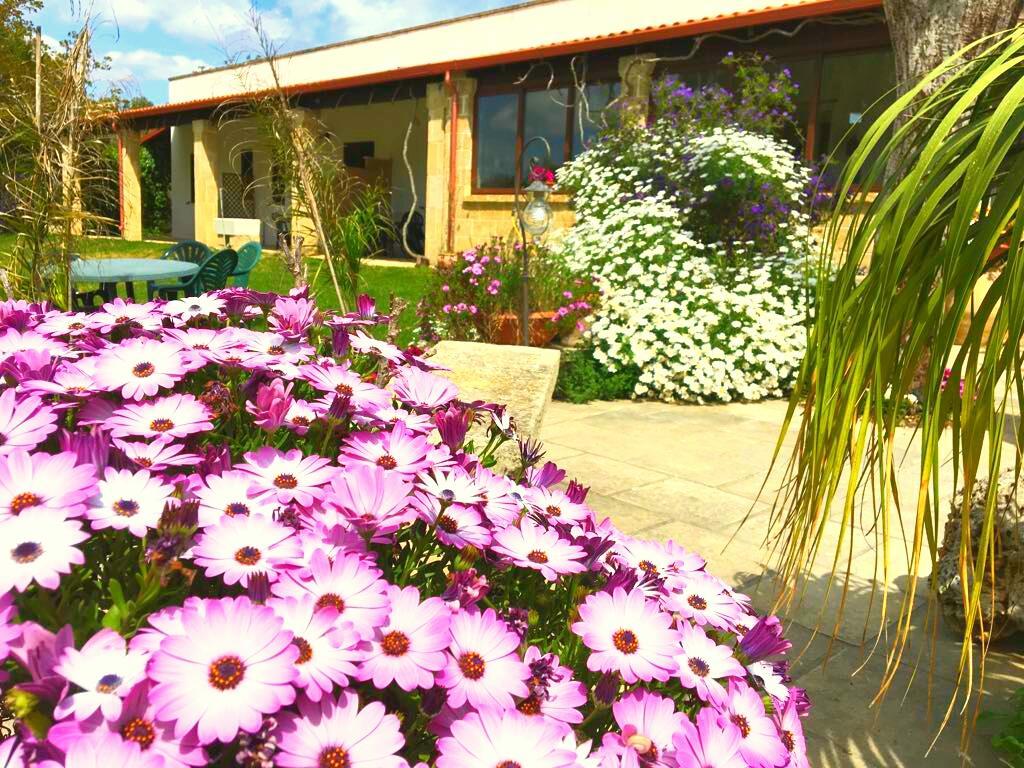 אוג'אנו לה קייזה Agriturismo Le Tagliate מראה חיצוני תמונה